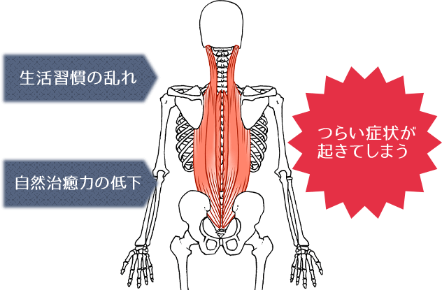 生活習慣の乱れ 自然治癒力の低下 つらい症状が起きてしまう